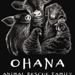 Ohana Animal Rescue Family